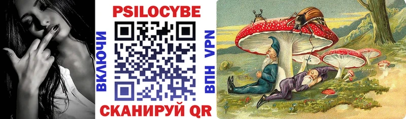 Псилоцибиновые грибы Psilocybine cubensis  Козловка 
